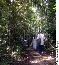 Caminhada pela mata