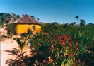 Vista da Casa de Estrela - 1988