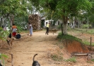 Festejos de São João - 2005