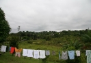 Paisagem da vila - 2005