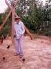 Padrinho Corrente - 1989