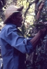 Padrinho Corrente - 1983