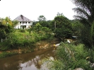 Casa do Padrinho Alfredo - 2005